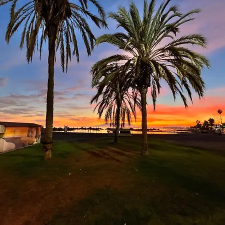 Choose From Mistral Or *