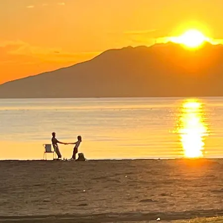 Choose From Mistral Or * מאלגה