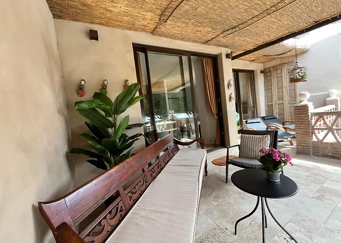 Choose From Mistral Or מאלגה