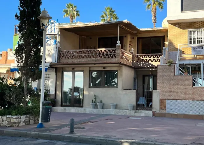 Choose From Mistral Or מאלגה