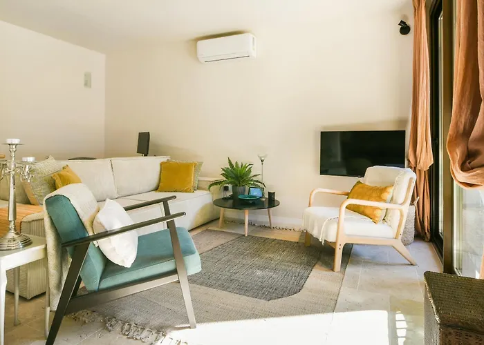 Choose From Mistral Or מאלגה