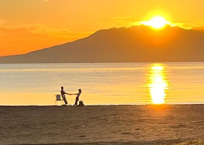 Choose From Mistral Or * מאלגה